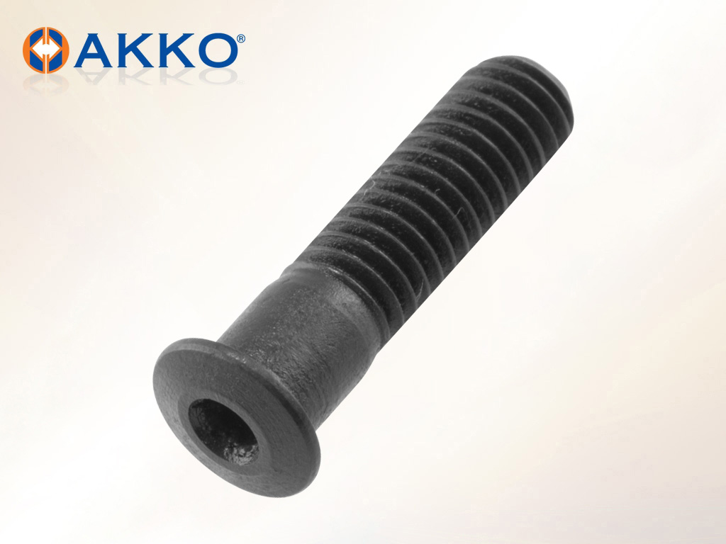 AKV-30-M6X22-P